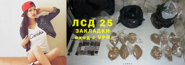 ПСИЛОЦИБИНОВЫЕ ГРИБЫ Алексеевка