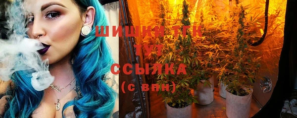 ПСИЛОЦИБИНОВЫЕ ГРИБЫ Алексеевка