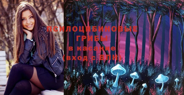 ПСИЛОЦИБИНОВЫЕ ГРИБЫ Алексеевка