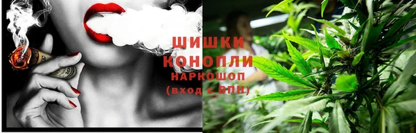 ПСИЛОЦИБИНОВЫЕ ГРИБЫ Алексеевка