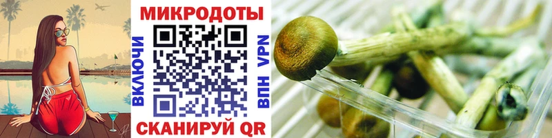купить наркоту  гидра ссылки  Псилоцибиновые грибы GOLDEN TEACHER  Всеволожск 
