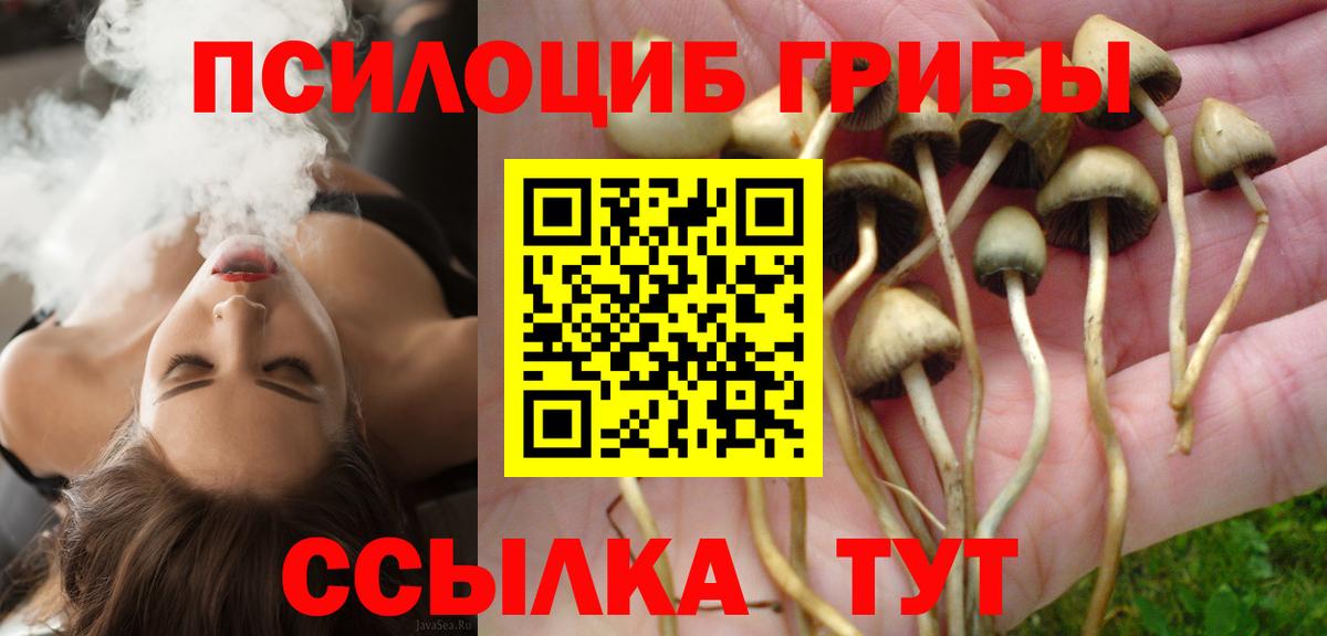 Всеволожск  Галлюциногенные грибы GOLDEN TEACHER  Вход с VPN  Галлюциногенные грибы MAGIC MUSHROOMS 