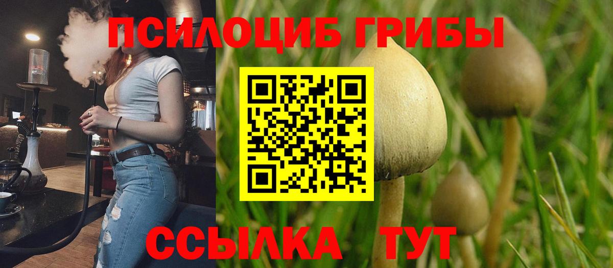 Псилоцибиновые грибы мухоморы Всеволожск